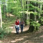 Wandern DiVa Walk Varus Region im Osnabrücker Land